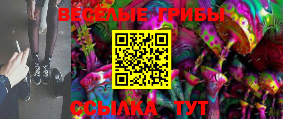 Псилоцибиновые грибы Psilocybe  купить  сайты  Чита  Вход с VPN 